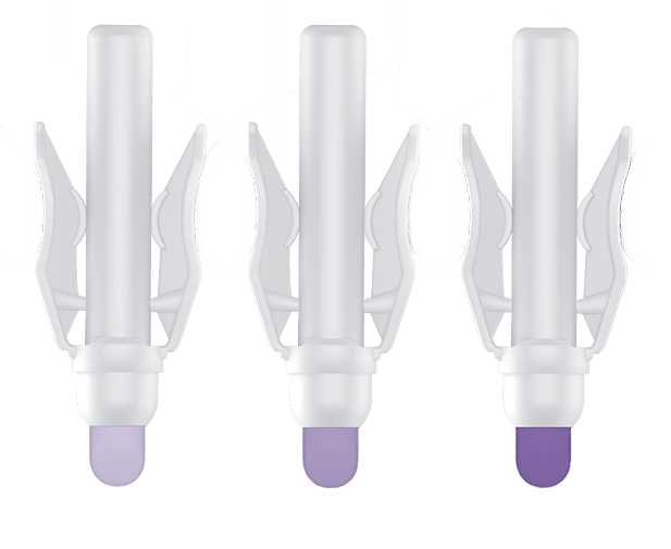 Octyl application - slide 2
